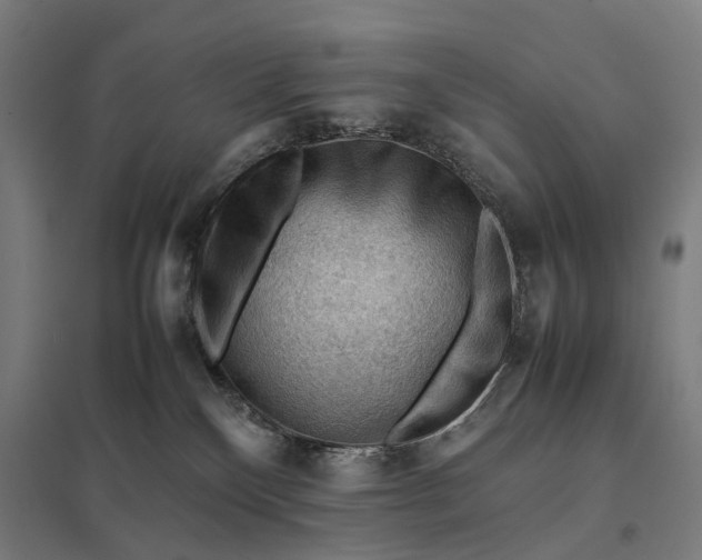 X0000097920136200803281435