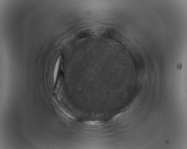 X0000097920137200803281434