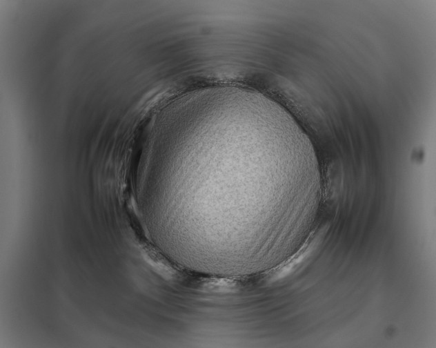 X0000097920140200803281434