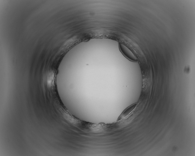 X0000097920142200803281434