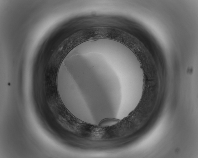 X0000097920143200803281434