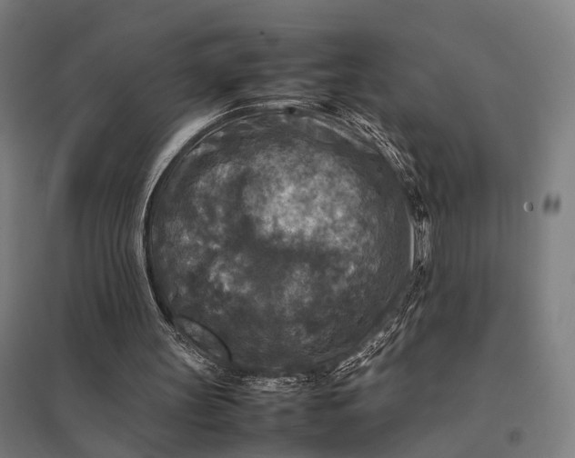 X0000097920147200803281434