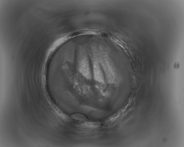 X0000097920149200803281434