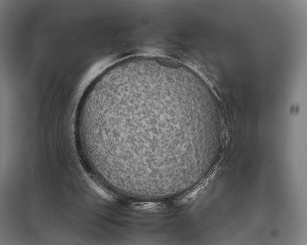 X0000097920151200803281434