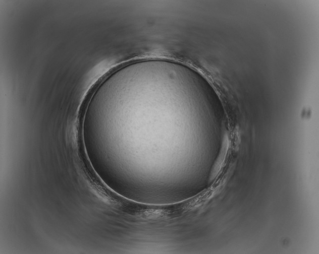 X0000097920152200803281434