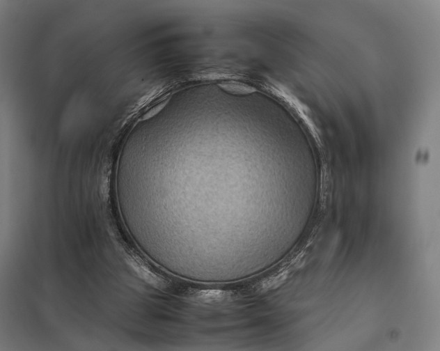 X0000097920153200803281434