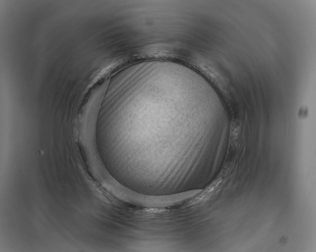 X0000097920158200803281434