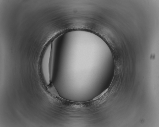 X0000097920160200803281434