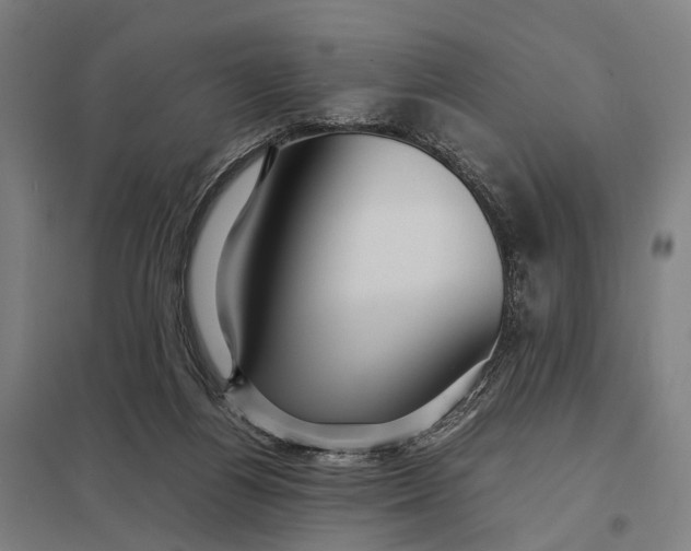 X0000097920164200803281434