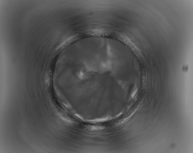 X0000097920165200803281434