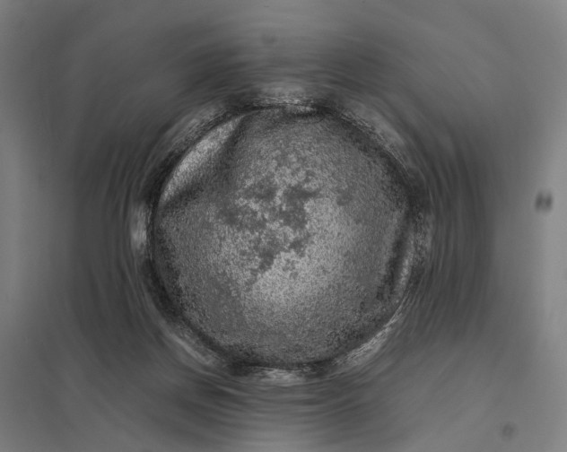 X0000097920166200803281434