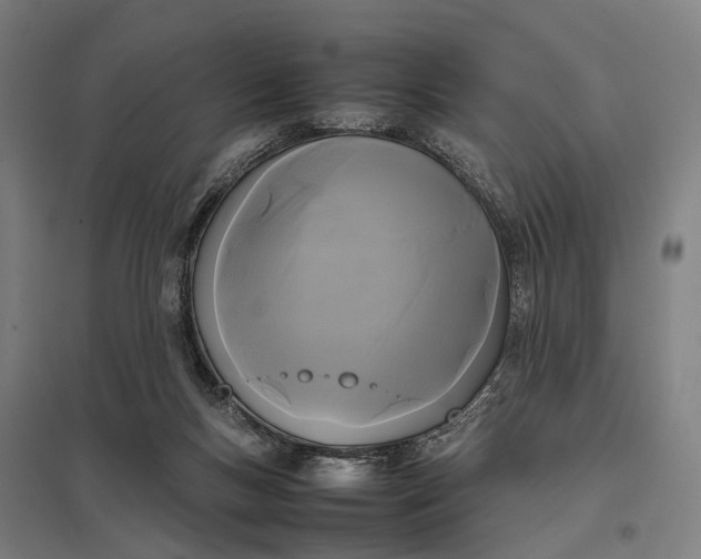 X0000097920167200803281434