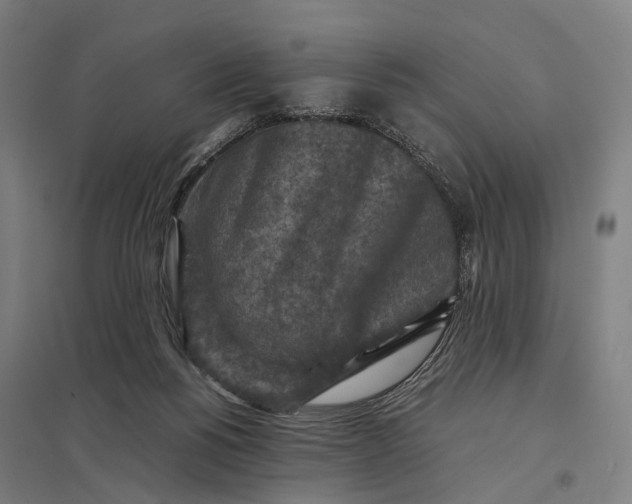 X0000097920168200803281434