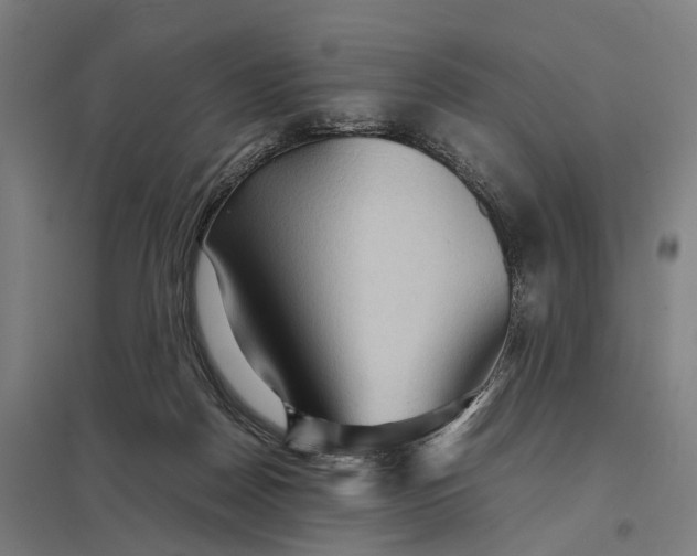 X0000097920170200803281434