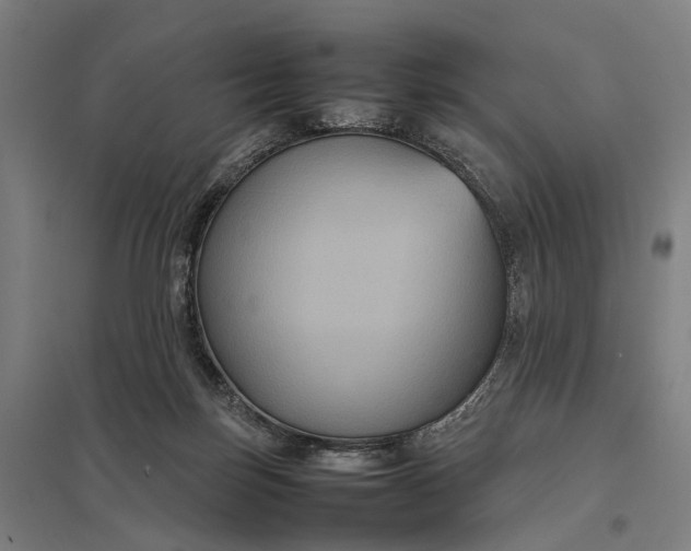 X0000097920171200803281434