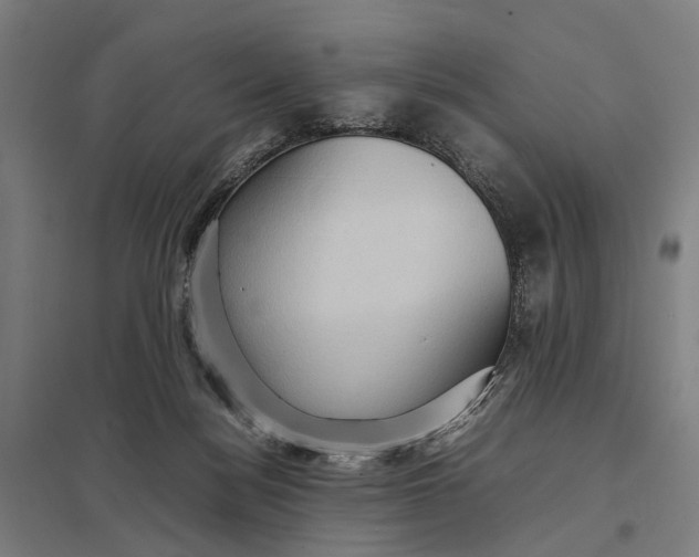 X0000097920172200803281434