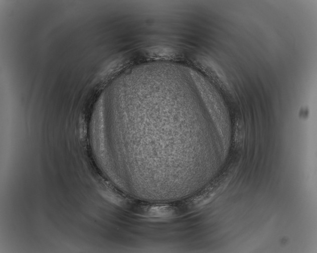 X0000097920173200803281434