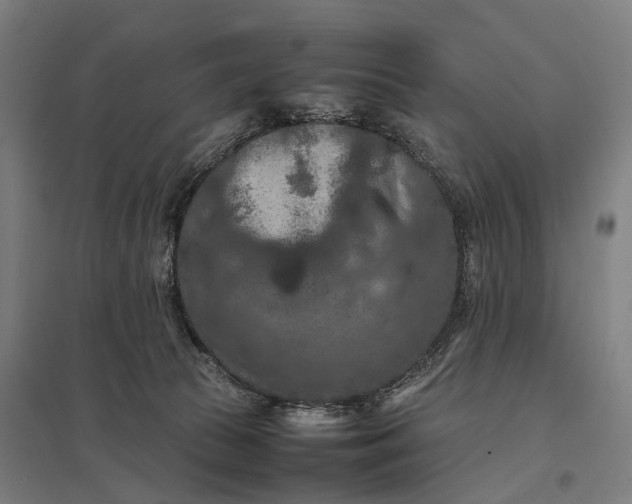 X0000097920177200803281434