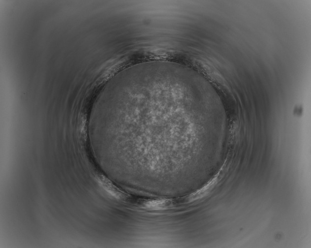 X0000097920178200803281434