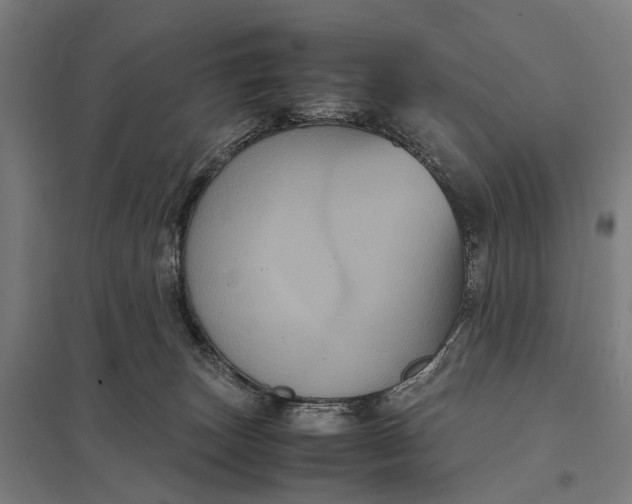 X0000097920179200803281434