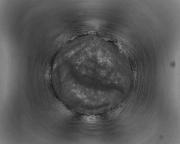 X0000097920181200803281434