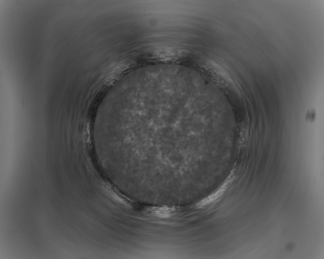 X0000097920182200803281434