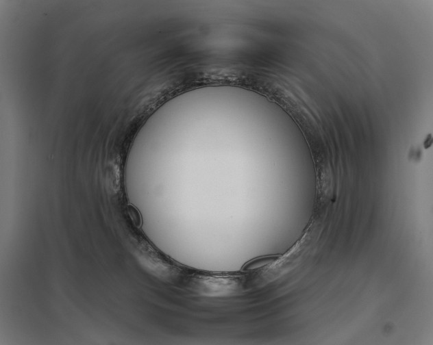 X0000097920183200803281434