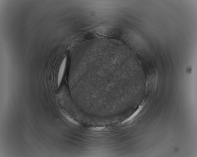 X0000097920186200803281434