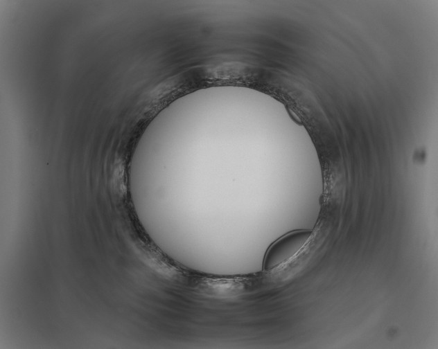 X0000097920187200803281434