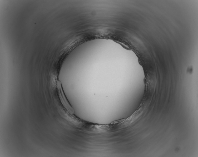 X0000097920188200803281434