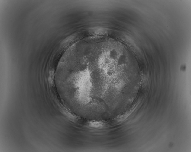 X0000097920189200803281434