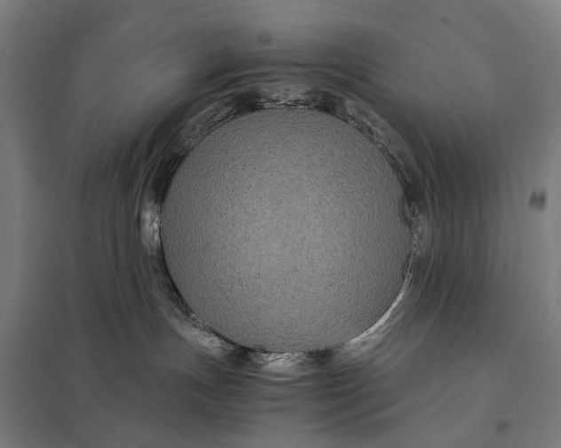 X0000097920191200803281434