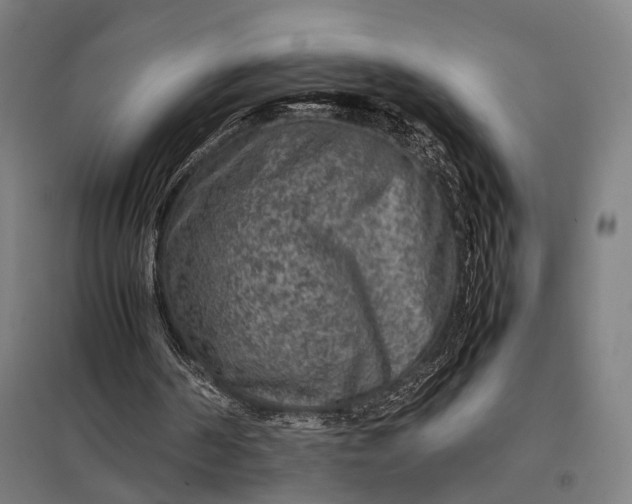 X0000097920194200803281434