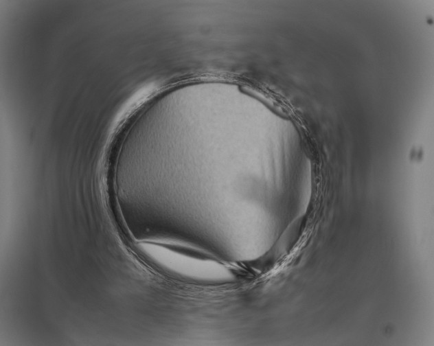 X0000097920197200803281434