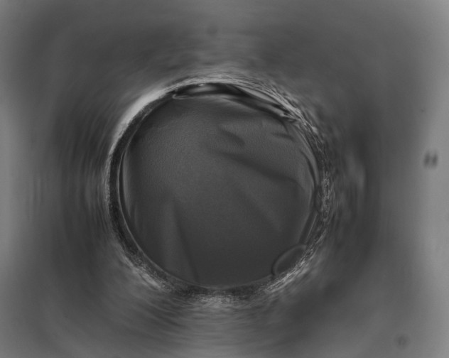 X0000097920200200803281434