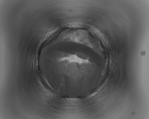 X0000097920202200803281434