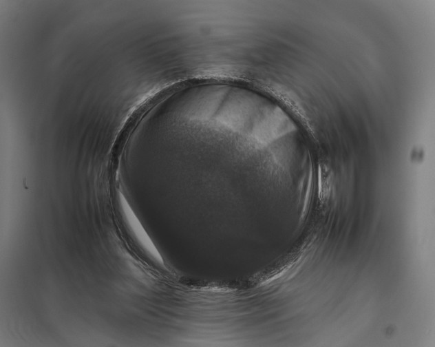 X0000097920204200803281434