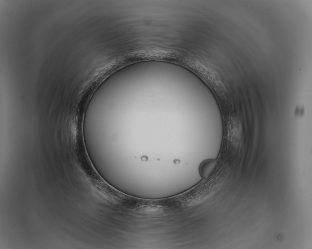 X0000097920206200803281434