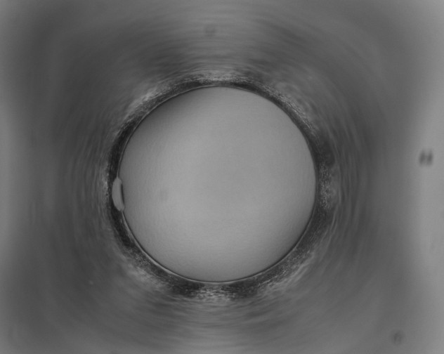 X0000097920207200803281434