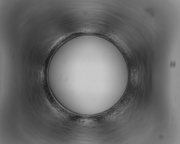 X0000097920208200803281434