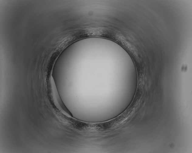 X0000097920209200803281434