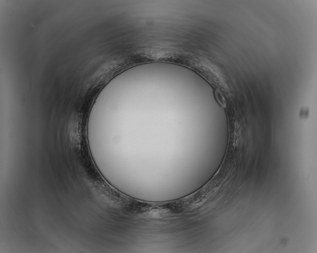 X0000097920210200803281433