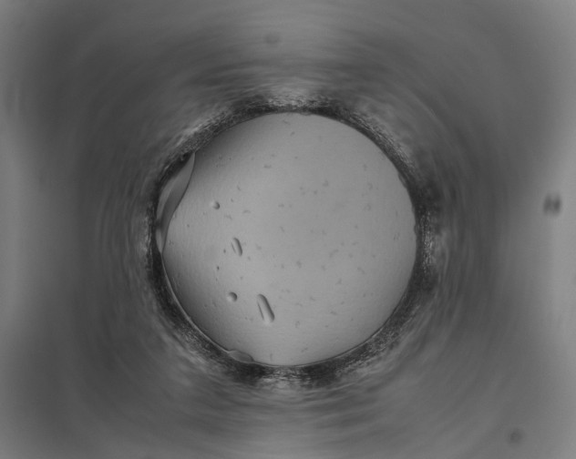 X0000097920211200803281433