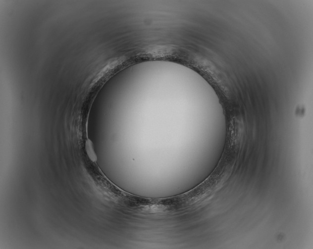 X0000097920212200803281433