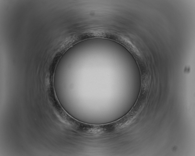 X0000097920213200803281433