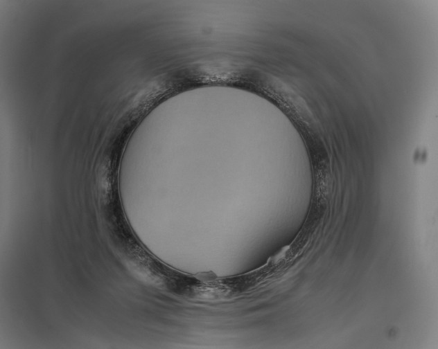 X0000097920215200803281433