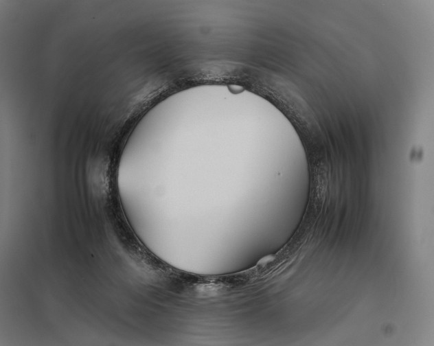 X0000097920216200803281433