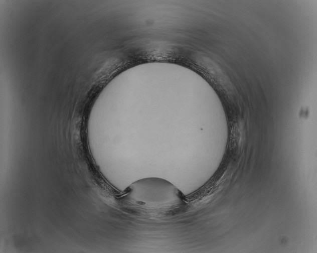 X0000097920217200803281433