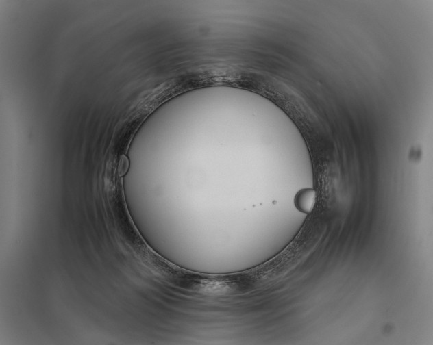 X0000097920218200803281433