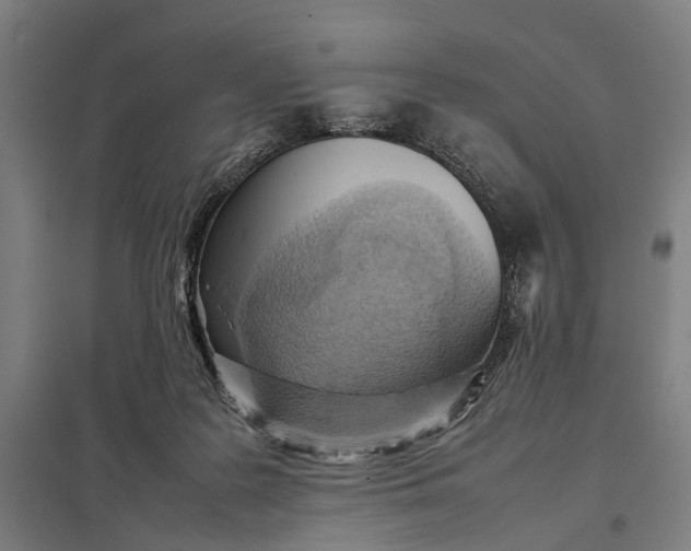 X0000097920219200803281433